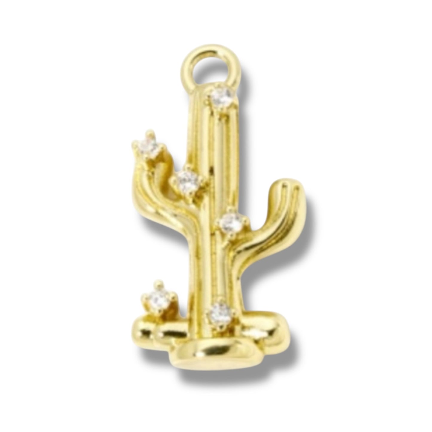 Cactus Charm